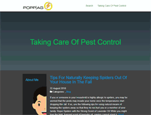 Tablet Screenshot of popp-ag.com